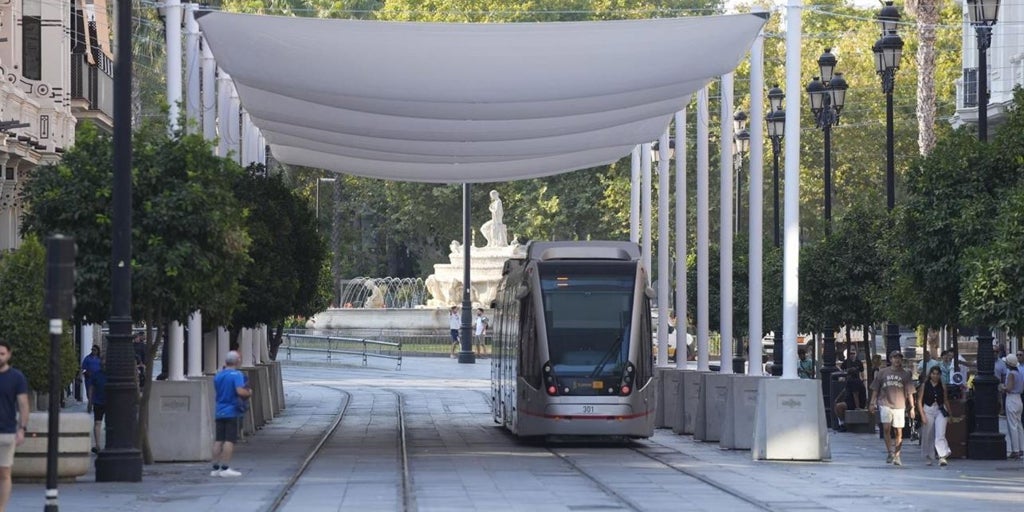 El Ayuntamiento de Sevilla retirará este lunes los toldos de la Avenida de la Constitución