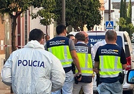 Detienen a un implicado en el crimen de Dos Hermanas, pero sigue la búsqueda del presunto autor del tiro en la frente