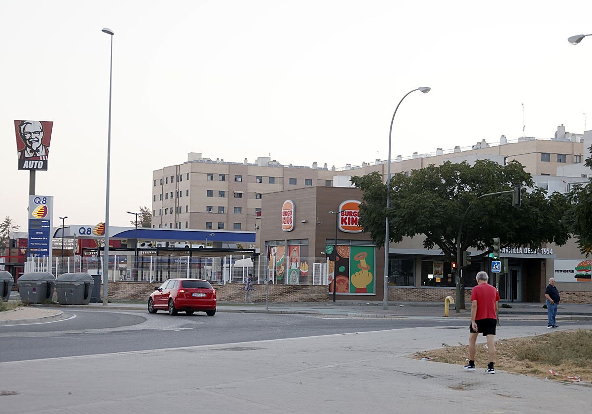 Parcela en Pino Montano que está siendo investigada por la justicia y la Guardia Civil