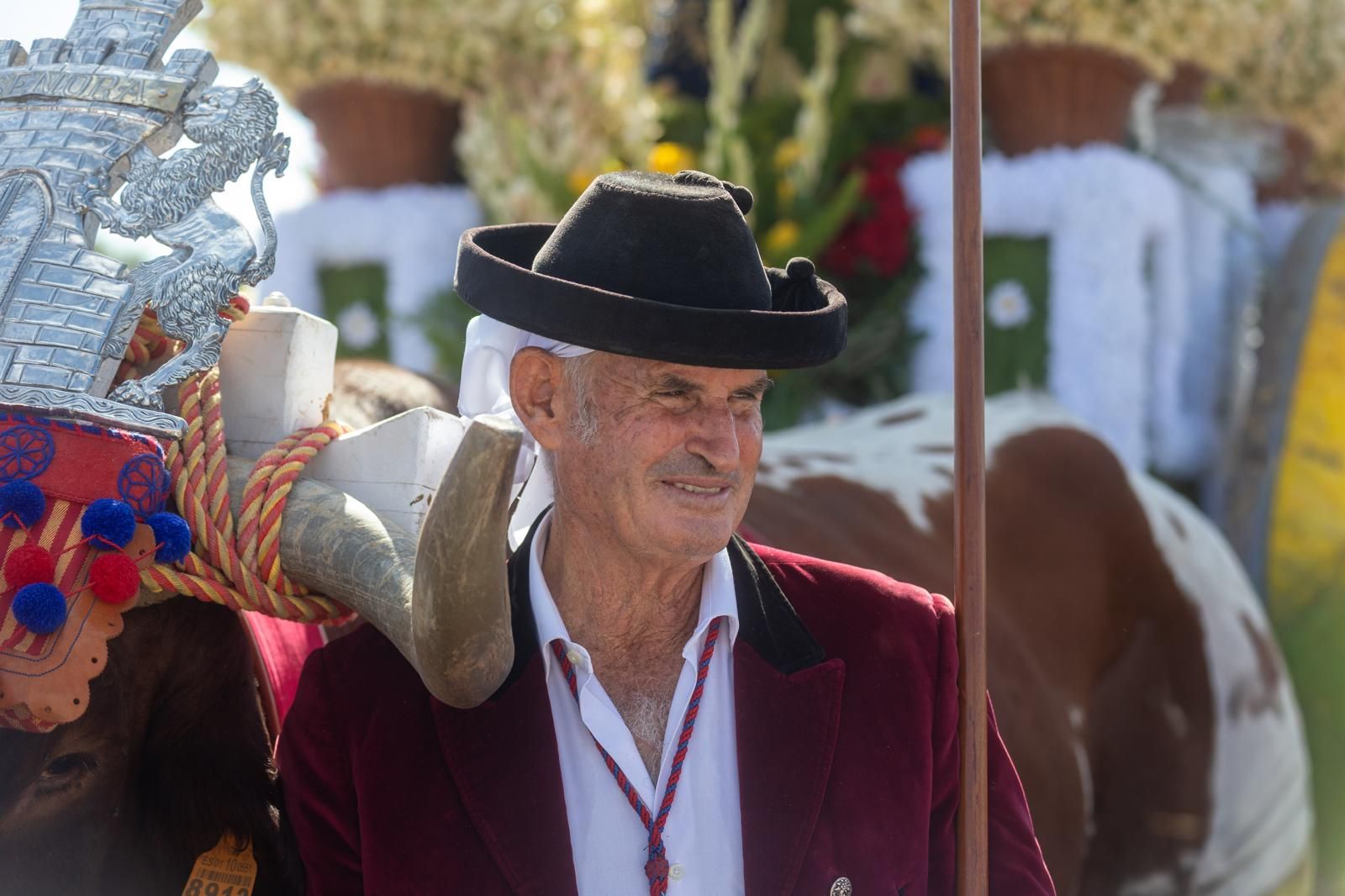 Dos Hermanas acompaña a la Virgen de Valme en su Romería