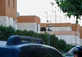 Detenido el hombre atrincherado en Brenes como autor del crimen de Dos Hermanas y decomisada la pistola usada en los hechos