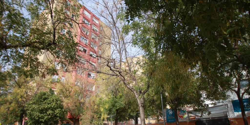 Las presuntas acosadoras de Sandra dan clases telemáticas mientras se investiga el suceso
