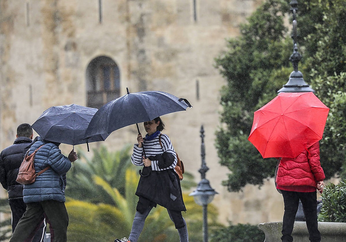 Varias personas con paraguas por la calle