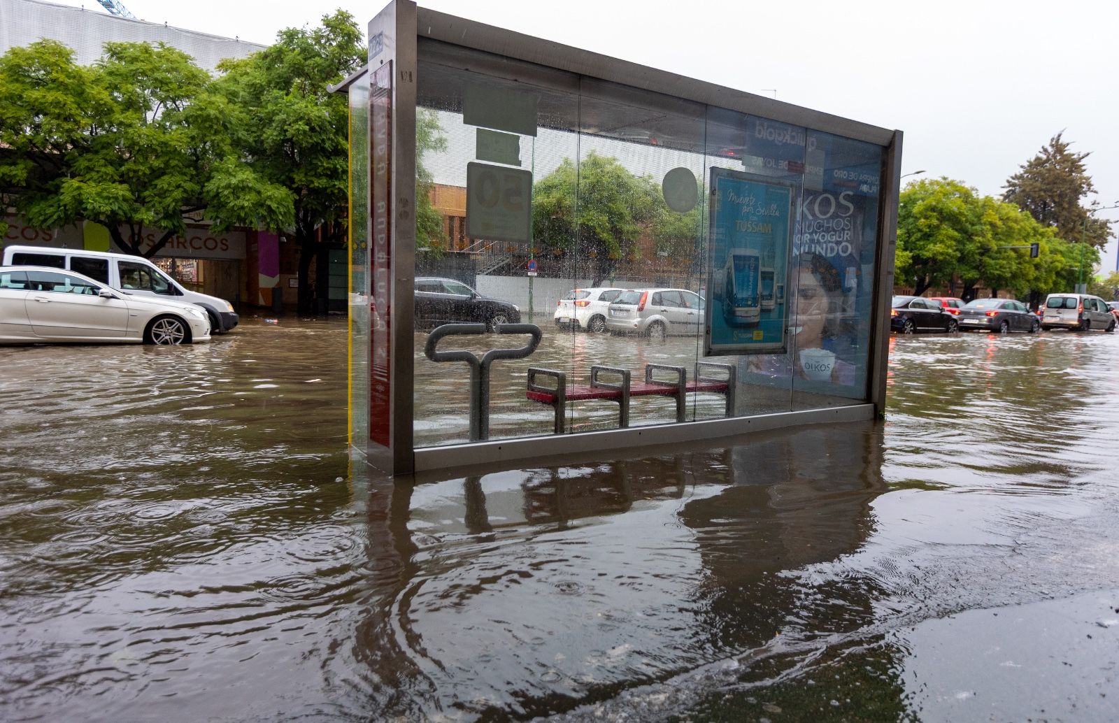 Fuertes lluvias en Sevilla: así afecta la borrasca a la ciudad