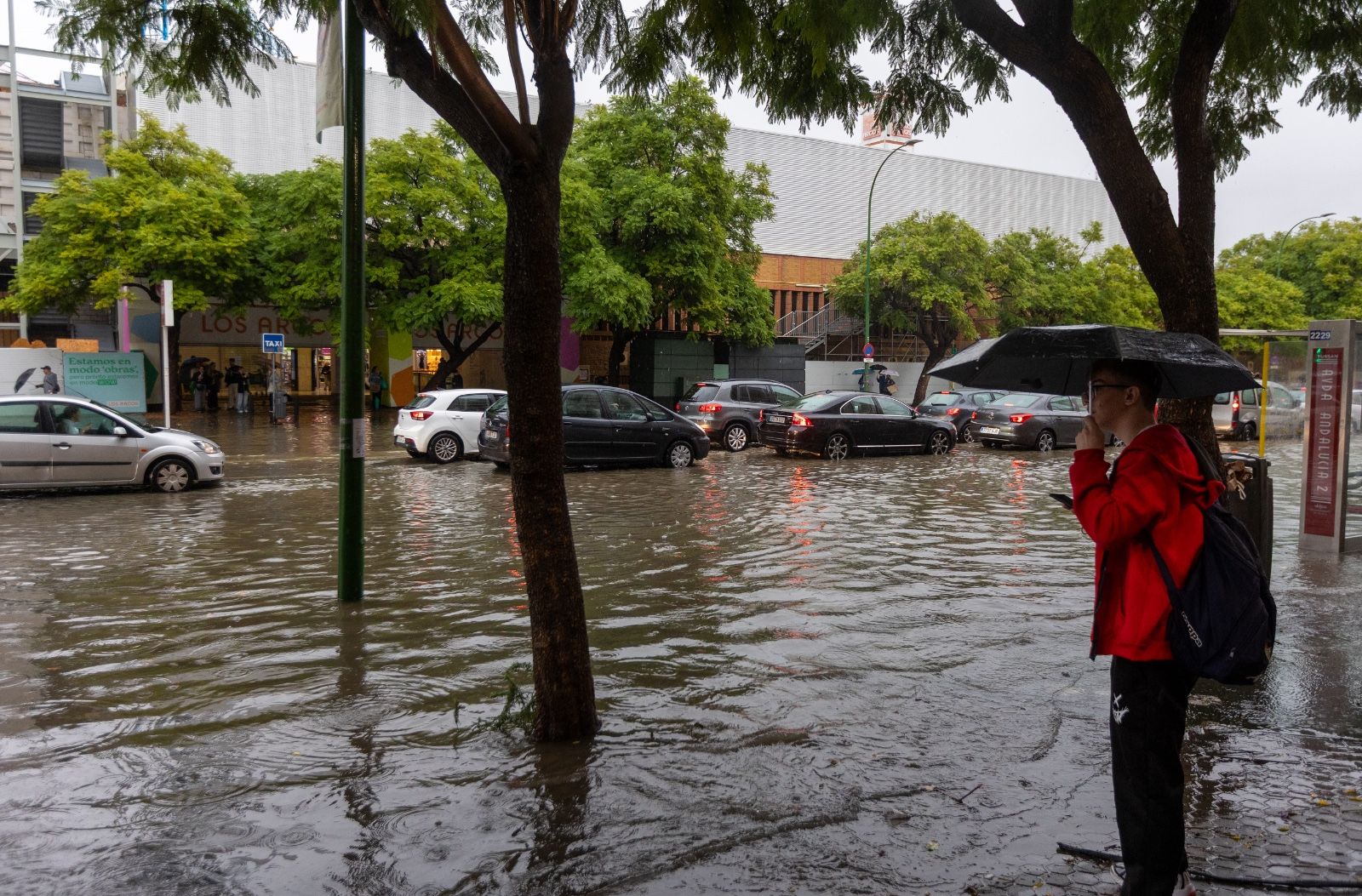 Fuertes lluvias en Sevilla: así afecta la borrasca a la ciudad