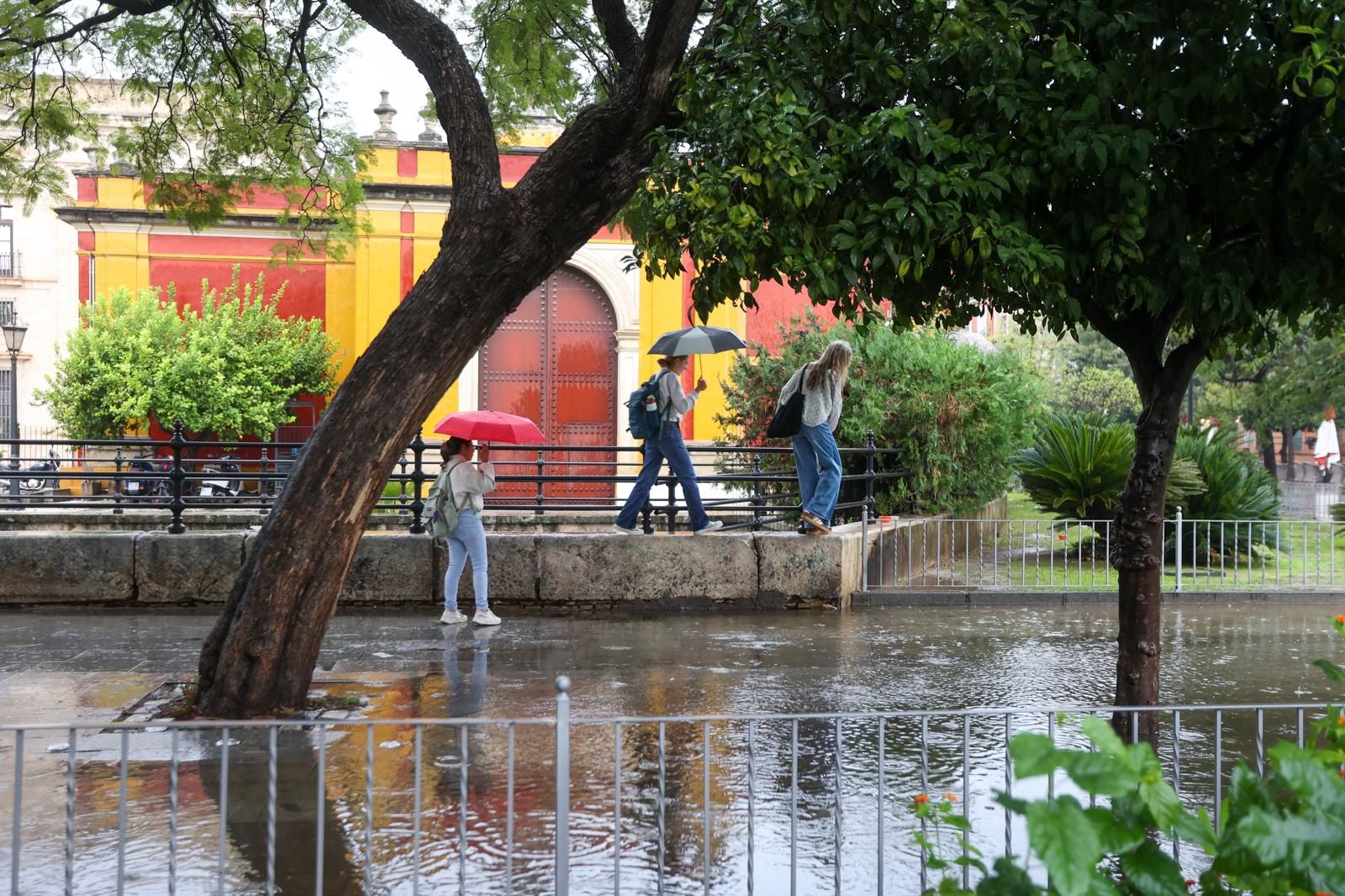 Fuertes lluvias en Sevilla: así afecta la borrasca a la ciudad