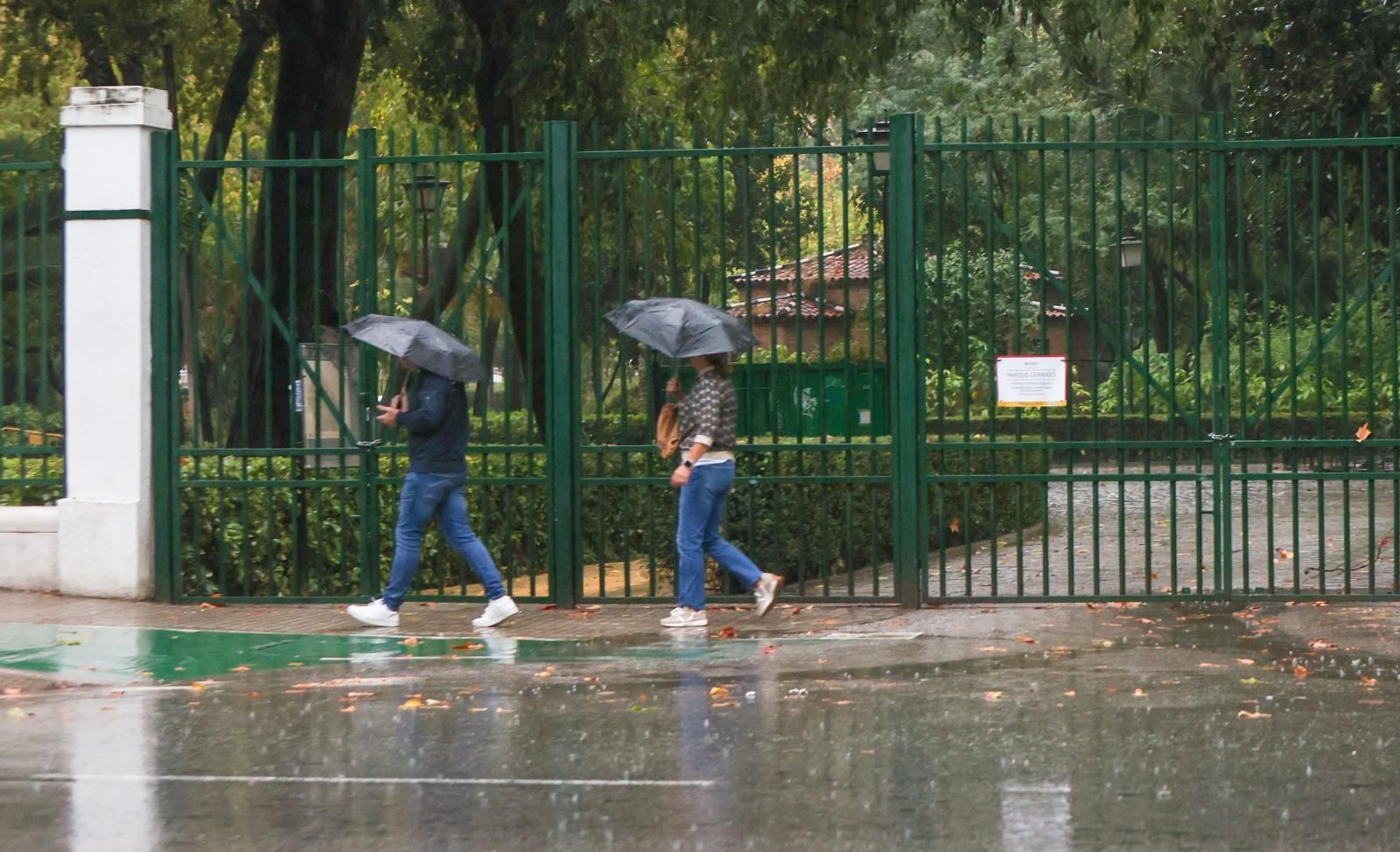 Fuertes lluvias en Sevilla: así afecta la borrasca a la ciudad