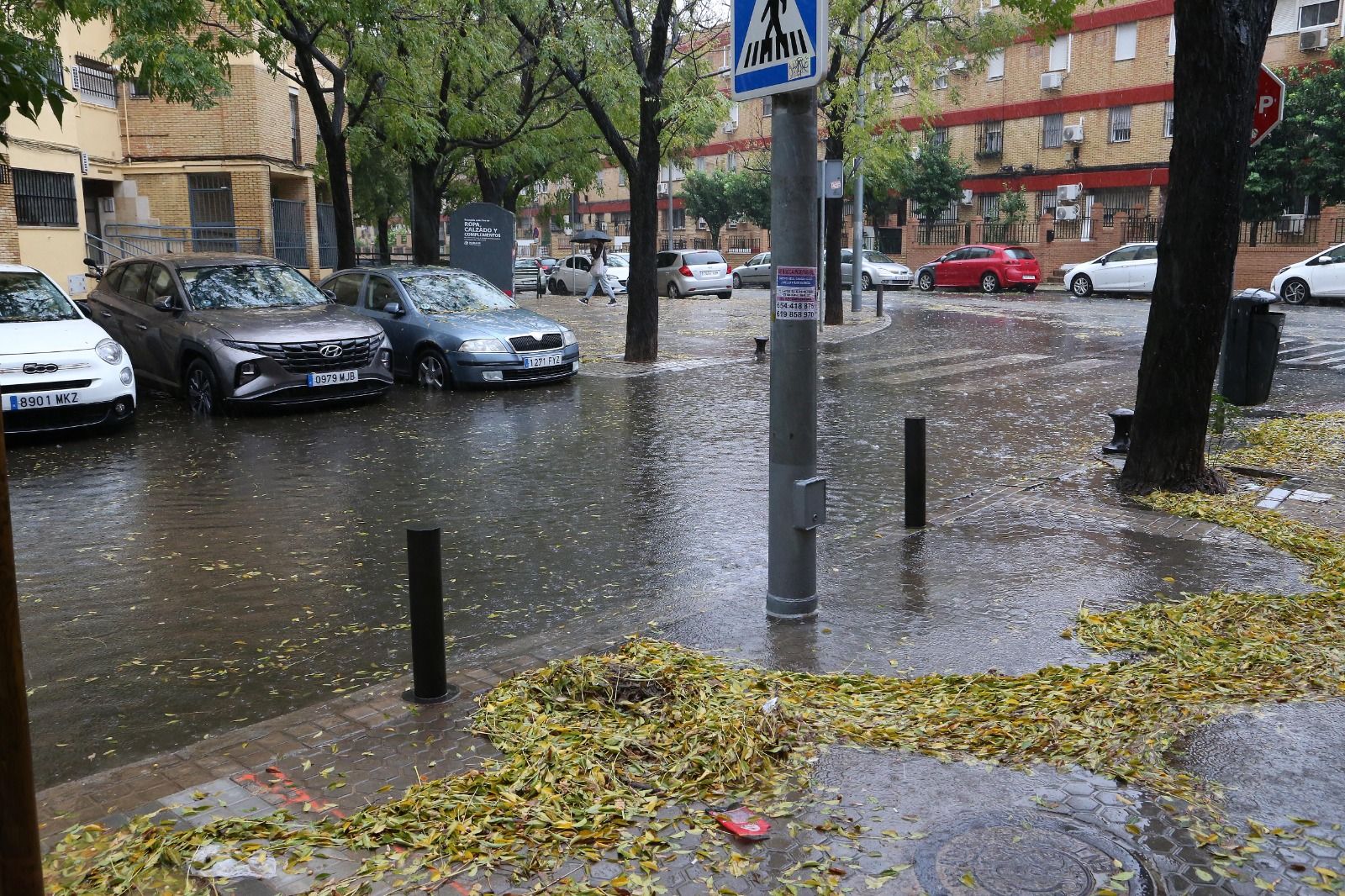 Fuertes lluvias en Sevilla: así afecta la borrasca a la ciudad