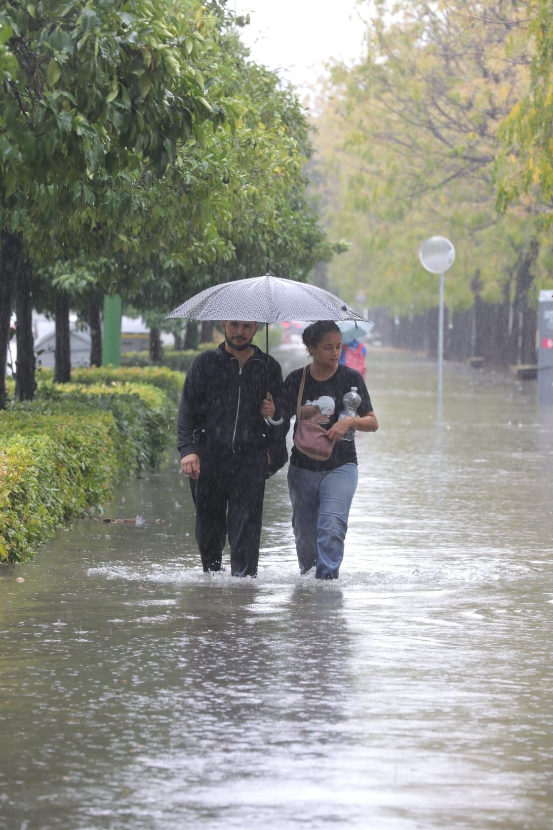 Fuertes lluvias en Sevilla: así afecta la borrasca a la ciudad
