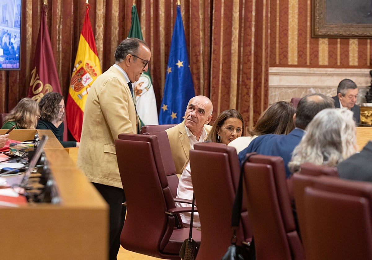 Varios concejales del grupo municipal del PSOE en el Ayuntamiento de Sevilla