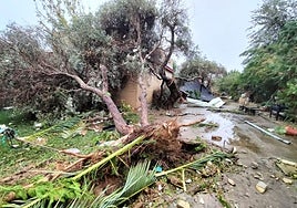 Un tornado arrasa con las viviendas de la urbanización Torrepalma en Carmona