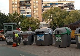 Multa de hasta 1.500 euros: Lipasam perseguirá a los sevillanos que hagan este cotidiano gesto con su basura