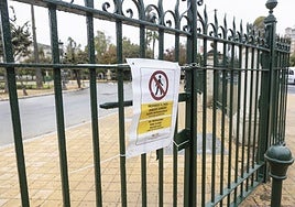 Los parques e instalaciones deportivas de Sevilla irán reabriendo de forma progresiva tras el temporal