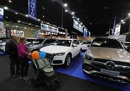 El cierre de Fibes por los daños de la lluvia obliga a suspender el Salón del Motor de Sevilla