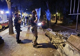 Cae un muro de los Jardines de San Telmo de Sevilla tras el impacto de una rama de grandes dimensiones