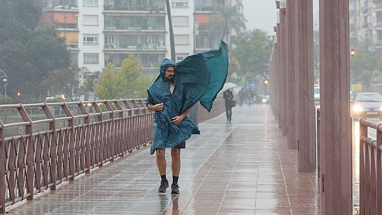 Así fueron las 15 horas críticas del «peor temporal de los últimos 50 años» en Sevilla