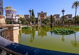 La Plaza de América tendrá palmeras datileras y 15.000 rosales para «recuperar el esplendor» de la Exposición Iberoamericana