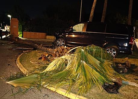 Imagen secundaria 1 - El torero Cayetano Rivera estrella su furgoneta contra una palmera y se niega a hacerse la prueba de alcohol
