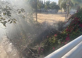 Un nuevo incendio en la Cartuja quema una zona de vegetación junto a la pasarela