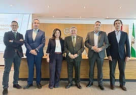 Francisco Torres (Naturgy): «Sevilla tiene un 99% de saturación en su infraestructura eléctrica»