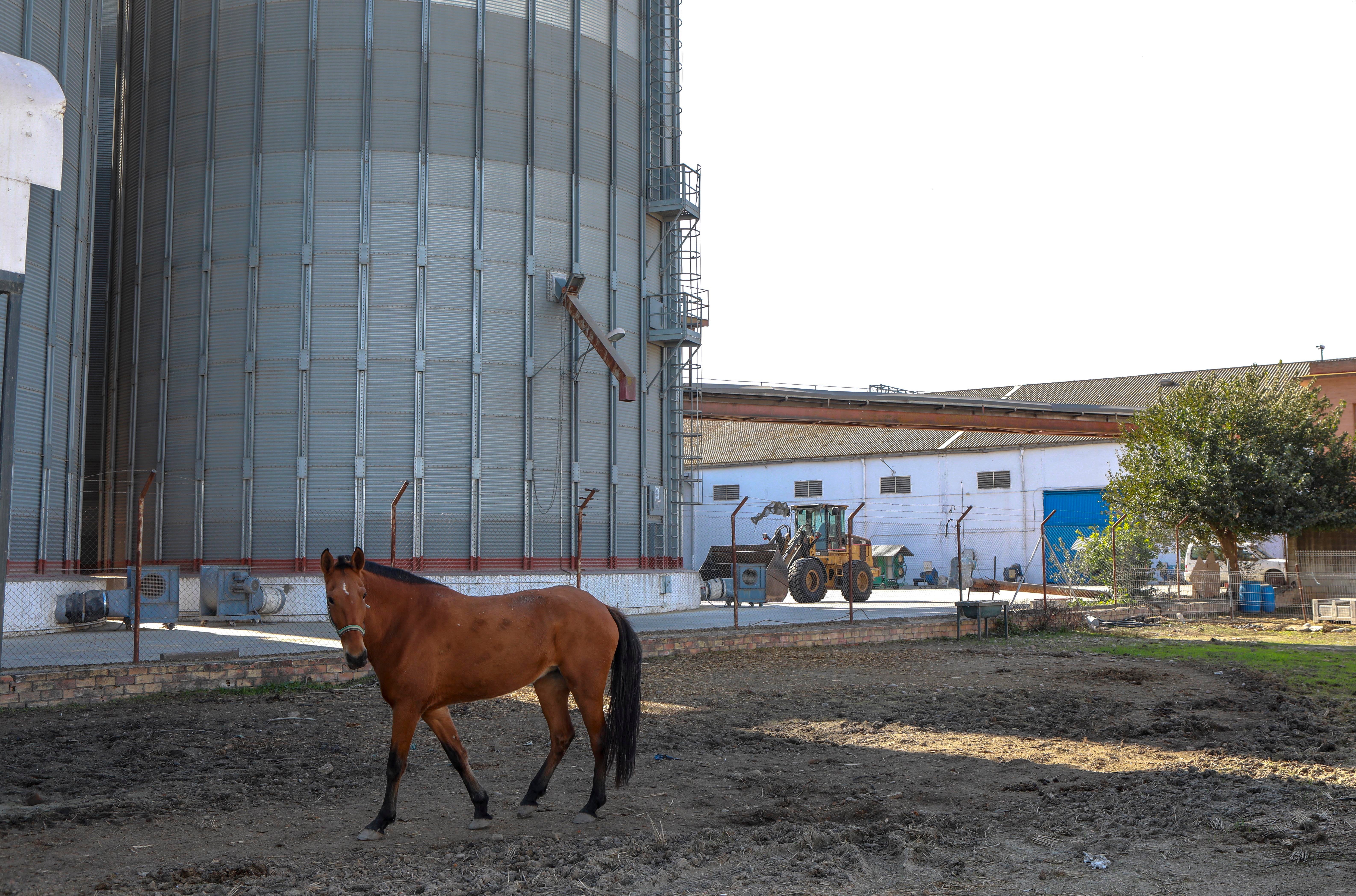 Isla Mayor, entre la ley del silencio y el estigma del narco, en imágenes