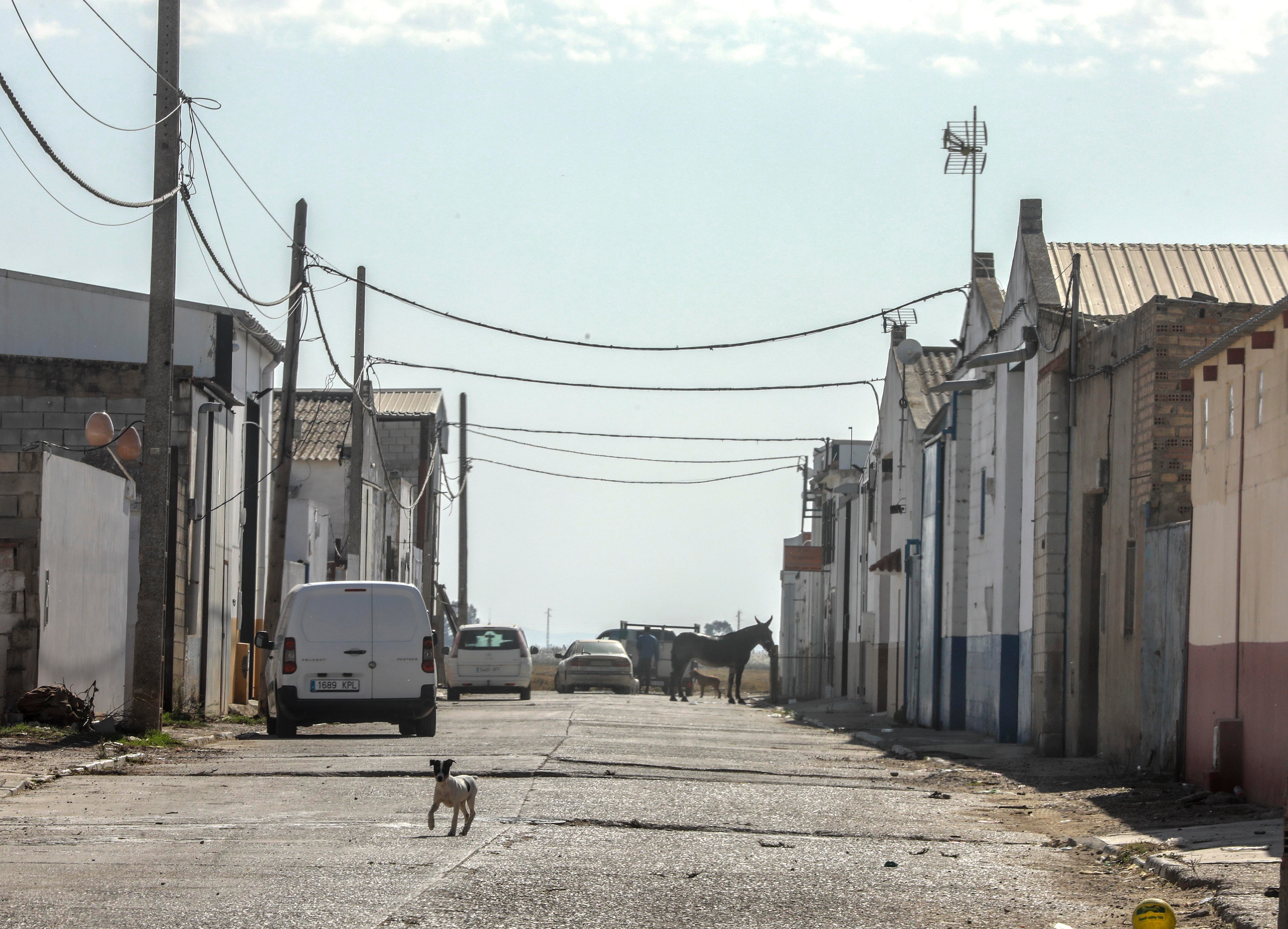 Isla Mayor, entre la ley del silencio y el estigma del narco, en imágenes