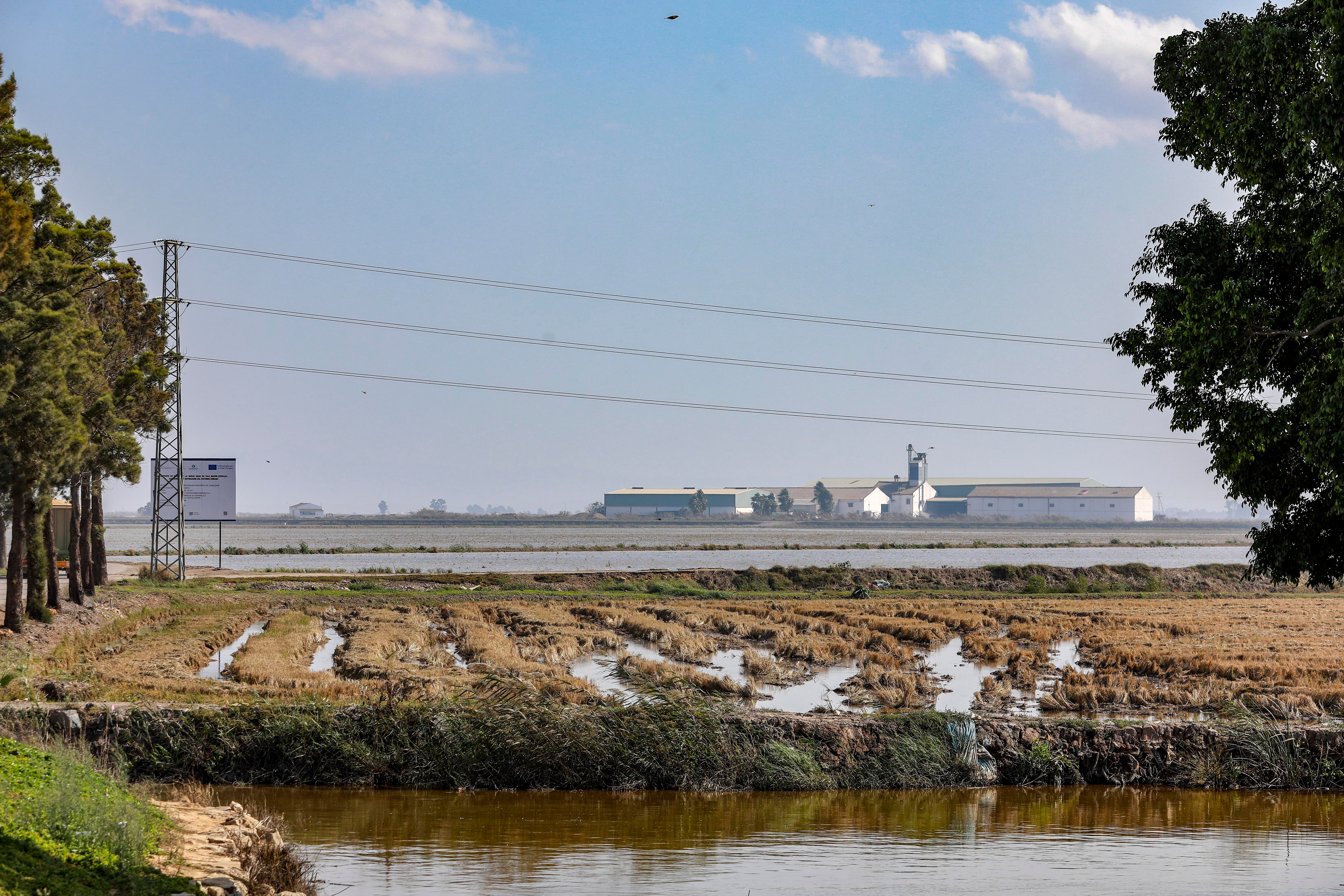 Isla Mayor, entre la ley del silencio y el estigma del narco, en imágenes