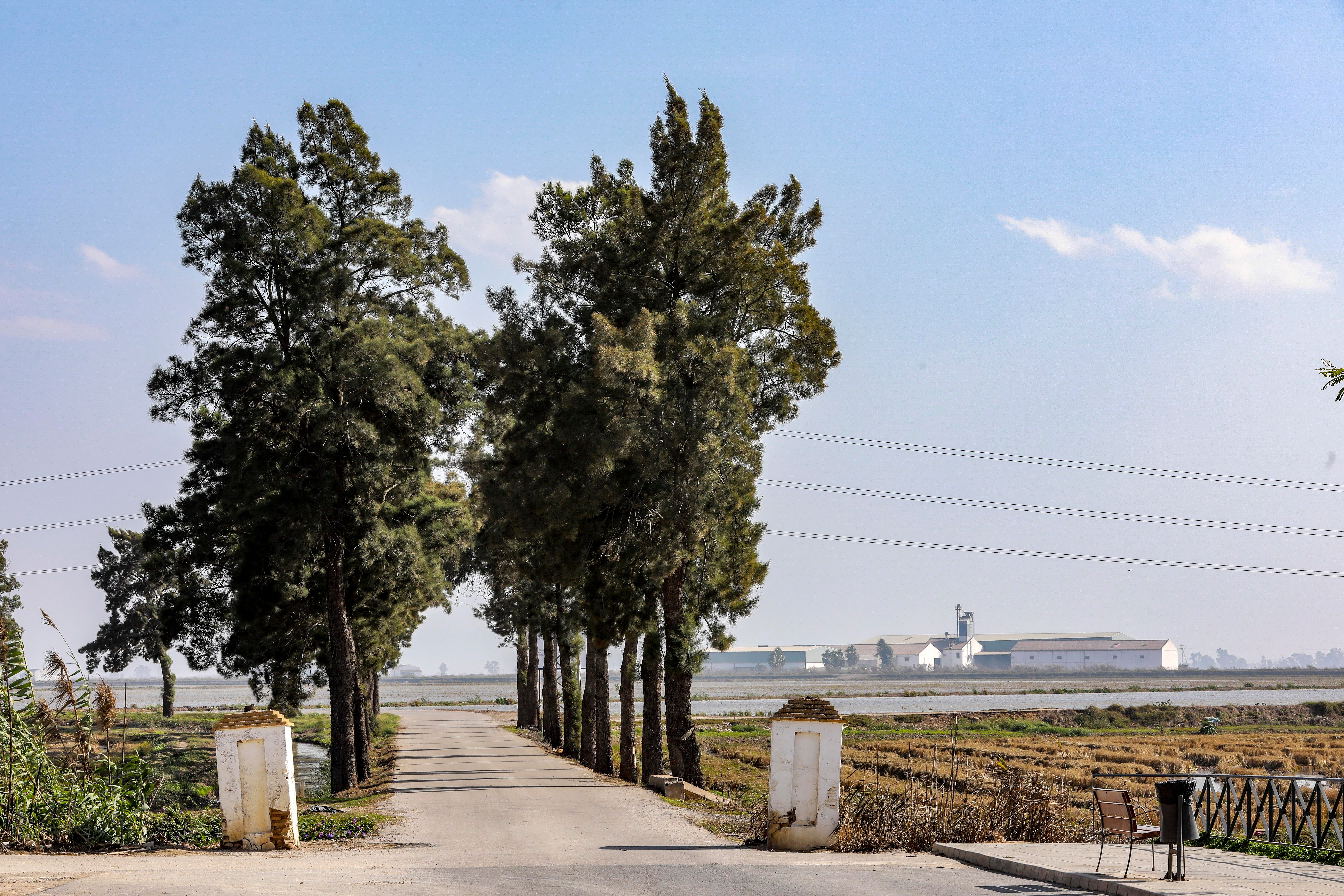 Isla Mayor, entre la ley del silencio y el estigma del narco, en imágenes