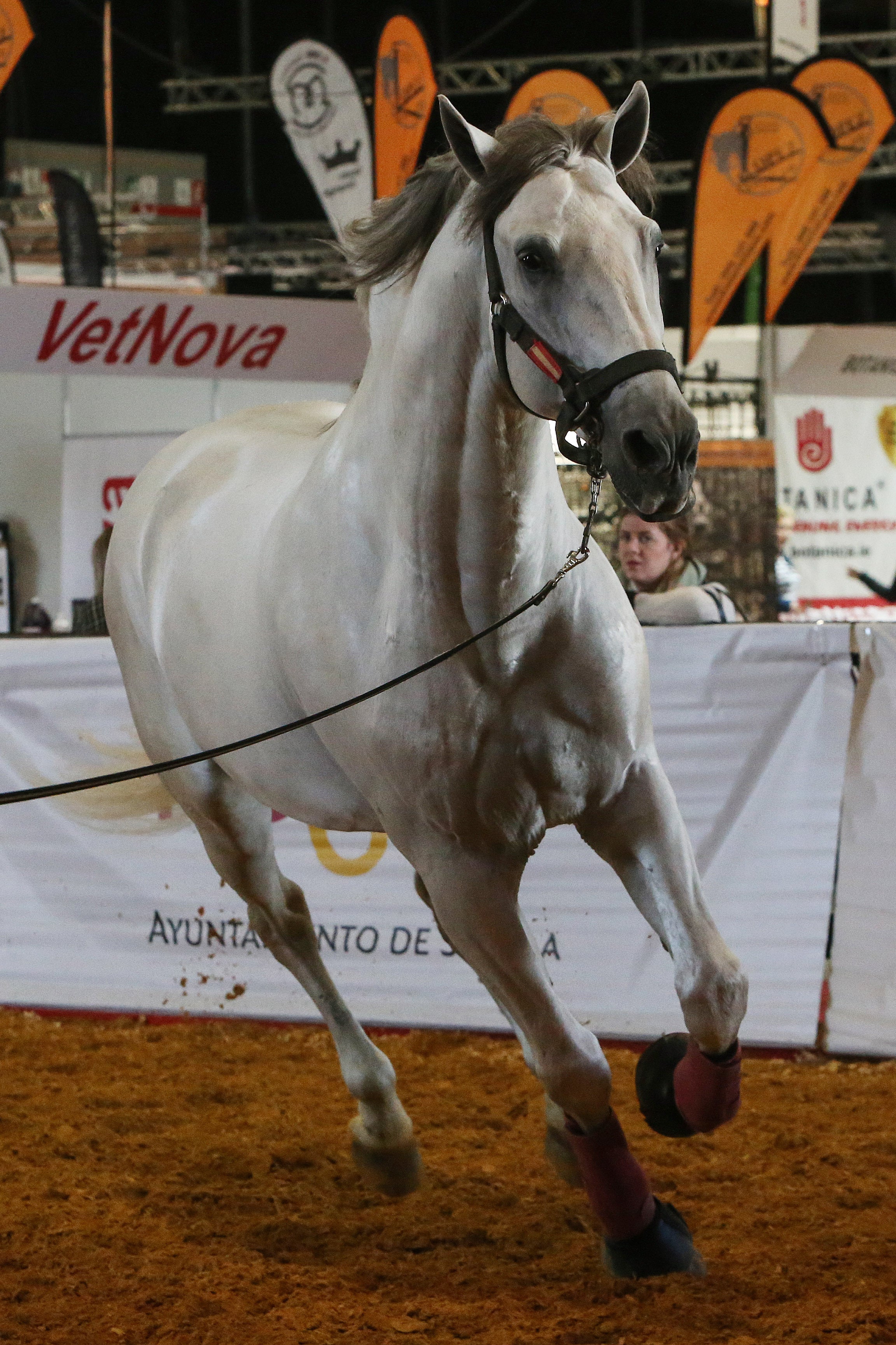 Las mejores imágenes de ambiente del primer día del Sicab