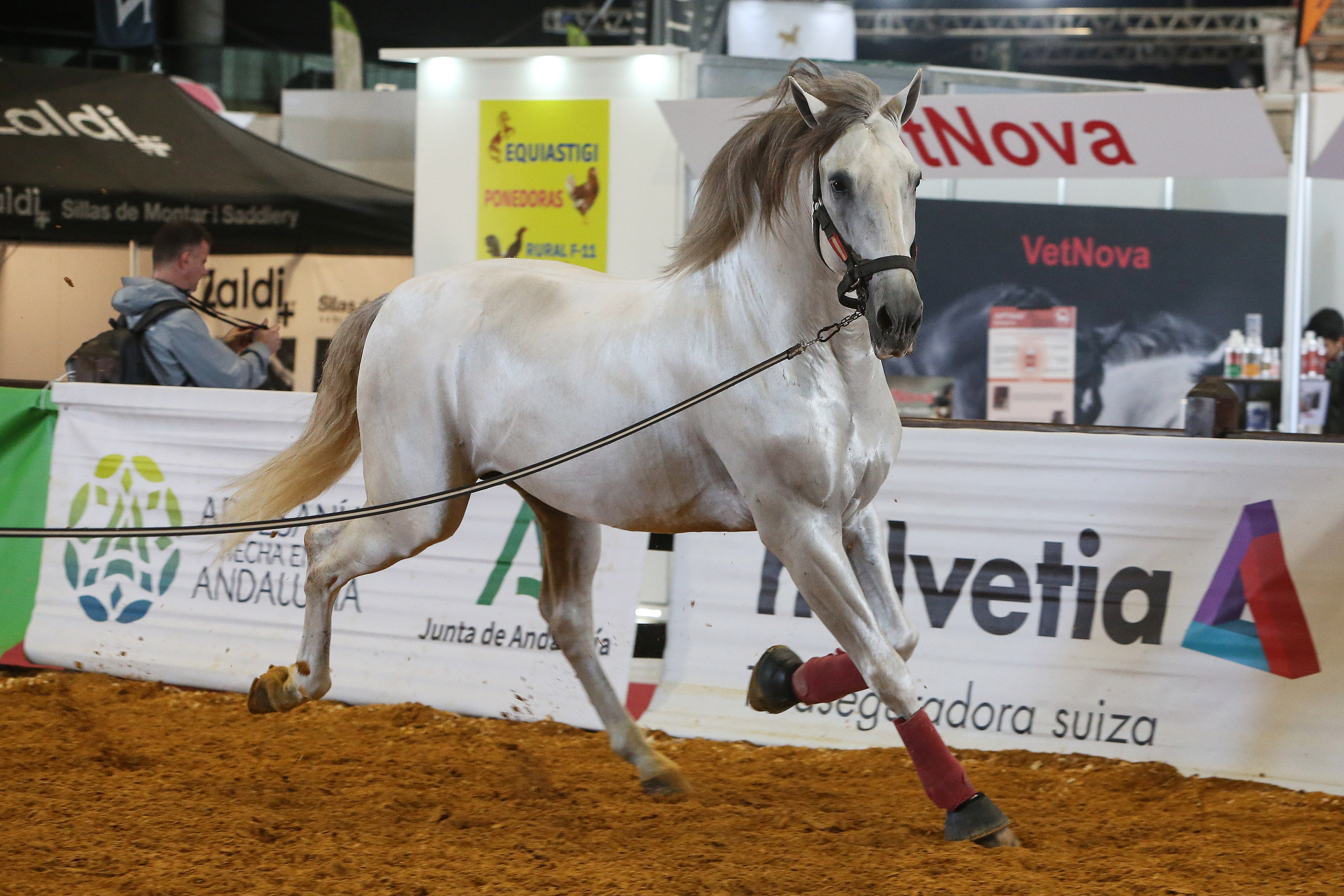 Las mejores imágenes de ambiente del primer día del Sicab