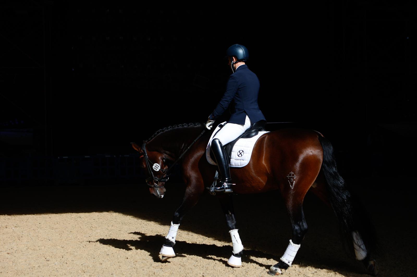 En imágenes, segundo día de Sicab 2025 en Sevilla