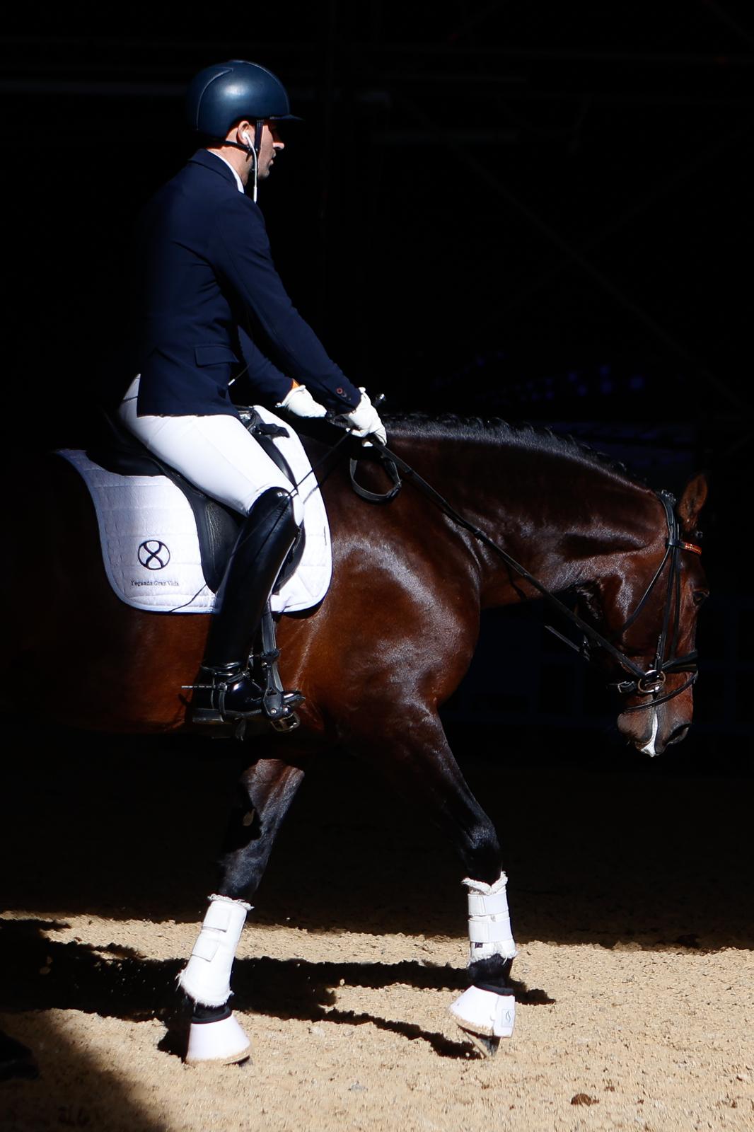En imágenes, segundo día de Sicab 2025 en Sevilla