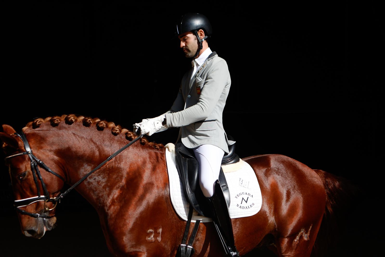 En imágenes, segundo día de Sicab 2025 en Sevilla