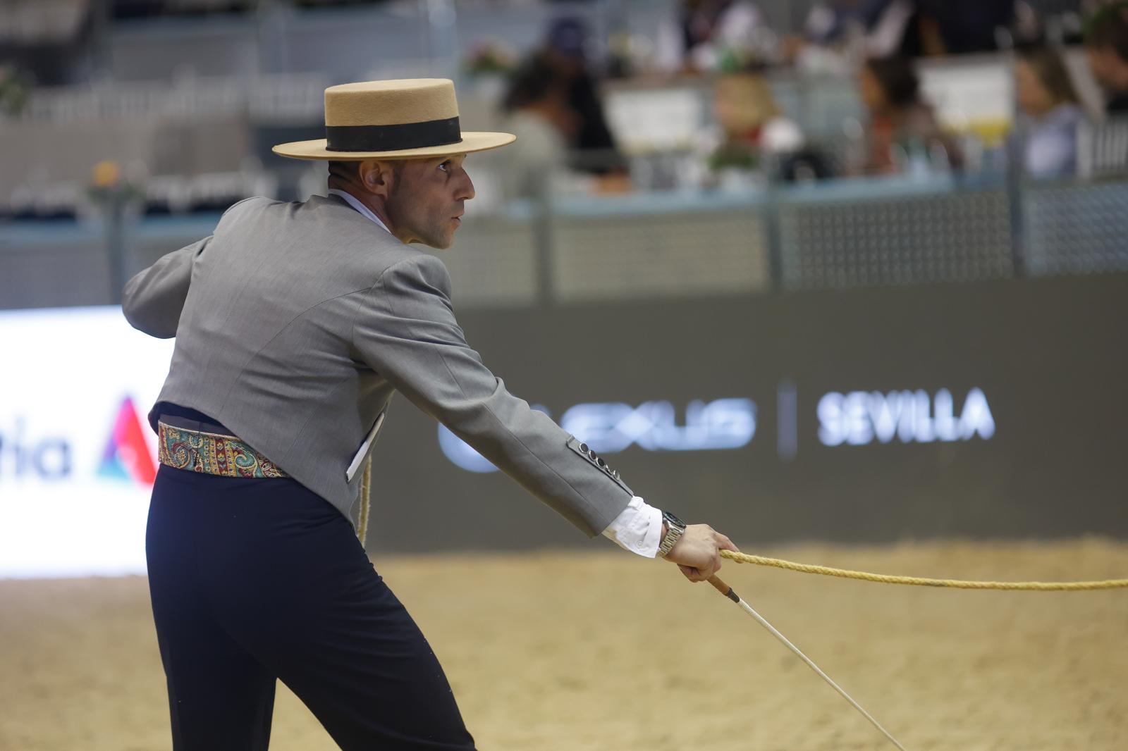 En imágenes, segundo día de Sicab 2025 en Sevilla