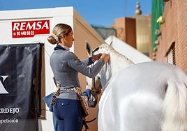 Las mujeres de mediana edad son las principales interesadas en los caballos de pura raza española en el extranjero