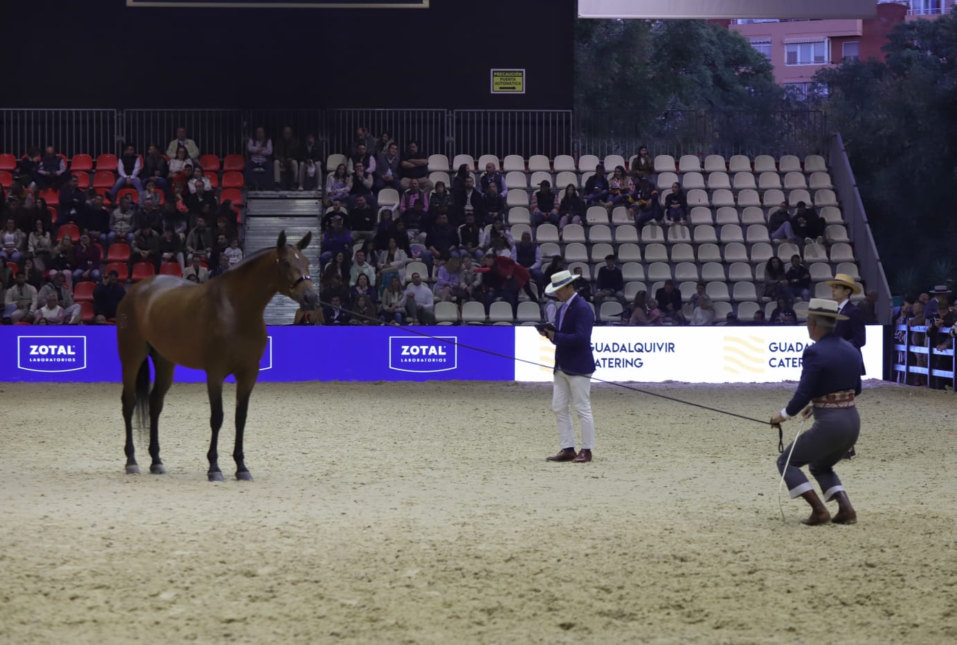 Así ha sido el cuarto día de Sicab en Sevilla: desde cocina en directo hasta demostración de trenzado para competición