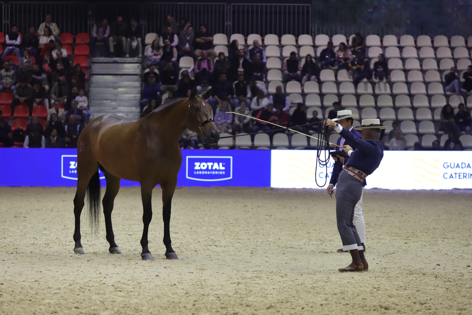 Así ha sido el cuarto día de Sicab en Sevilla: desde cocina en directo hasta demostración de trenzado para competición