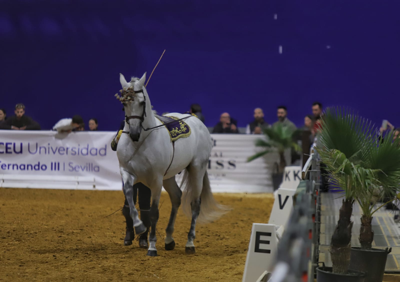 Así ha sido el cuarto día de Sicab en Sevilla: desde cocina en directo hasta demostración de trenzado para competición