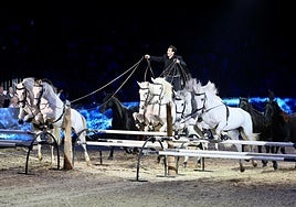 Lorenzo, el jinete francés que arrasa en Sicab: «El Pura Raza Española es de los caballos más bellos del mundo»