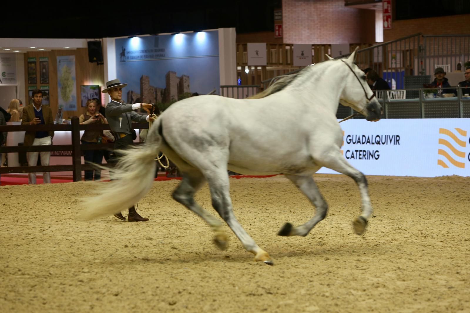 En imágenes: ambiente en el tercer día de Sicab en Fibes
