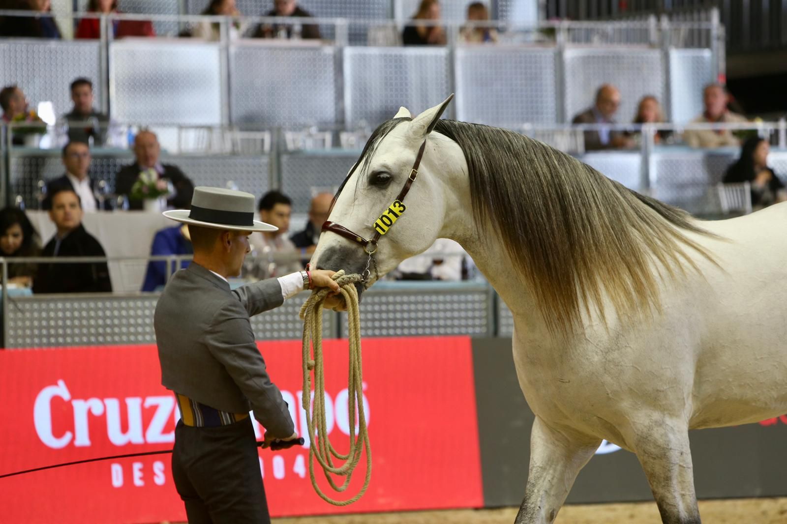 En imágenes: ambiente en el tercer día de Sicab en Fibes