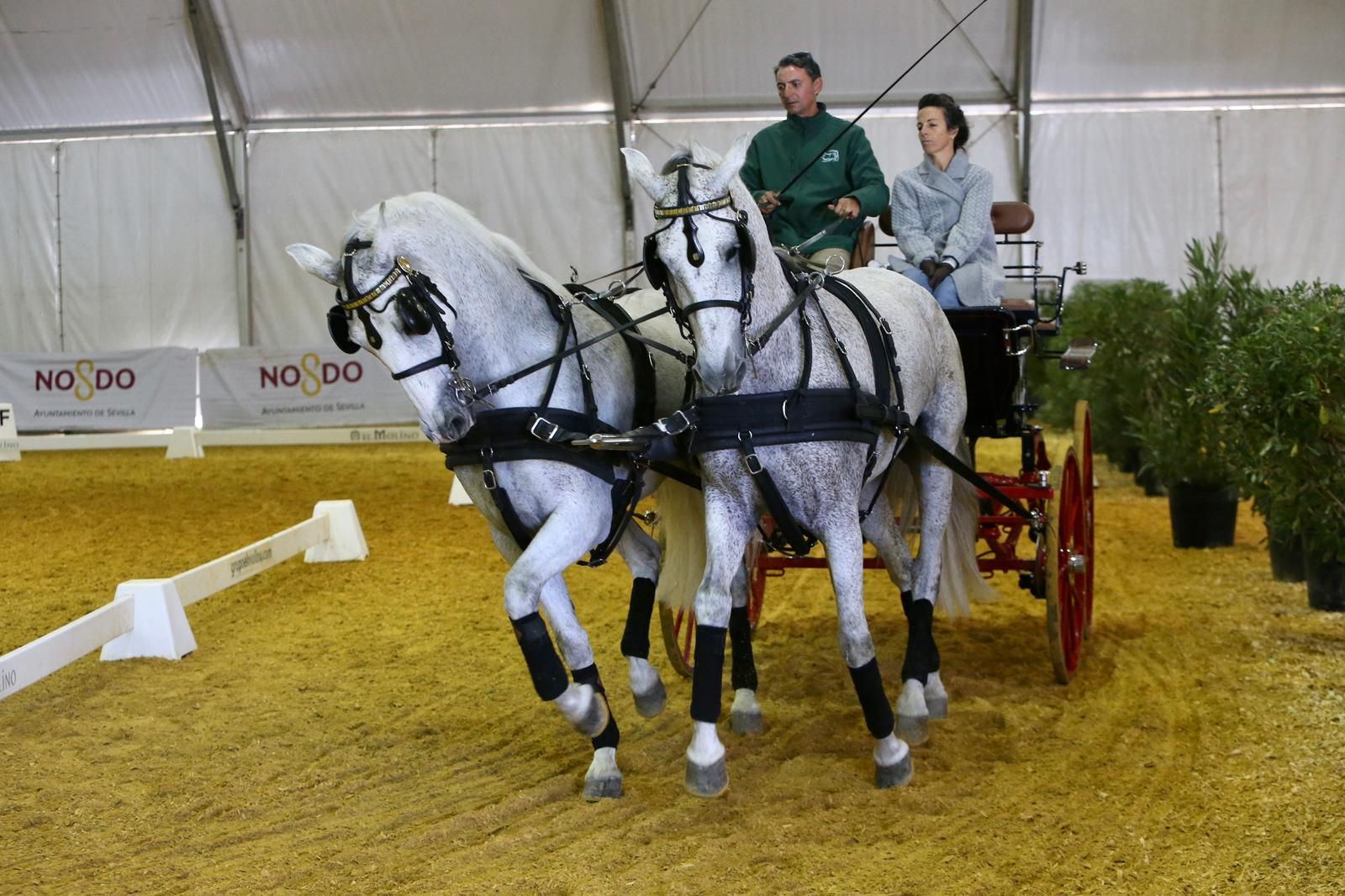 En imágenes: ambiente en el tercer día de Sicab en Fibes