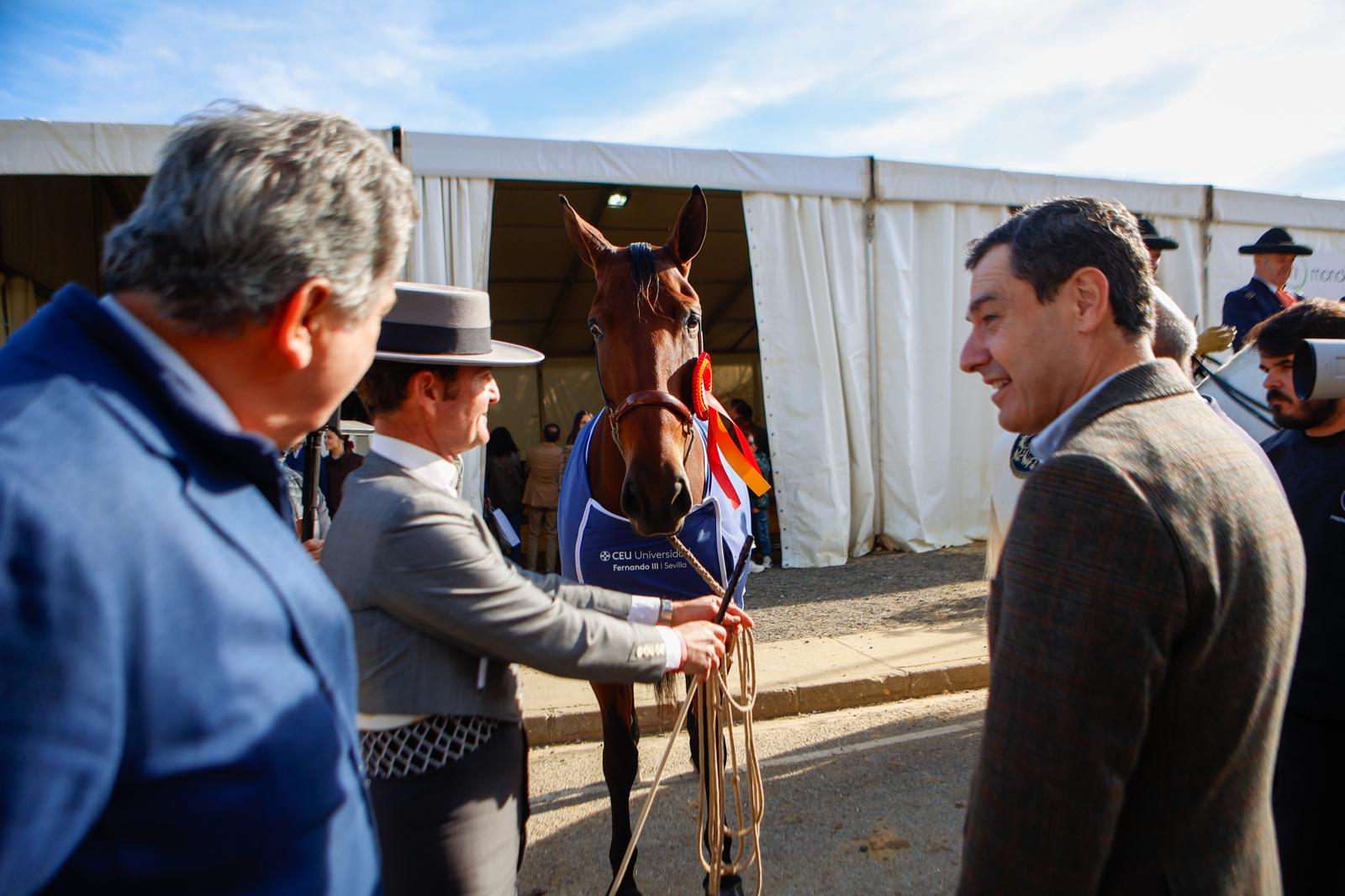 Penúltima jornada de Sicab en Sevilla: desde un campus de herraje hasta la visita de Juanma Moreno