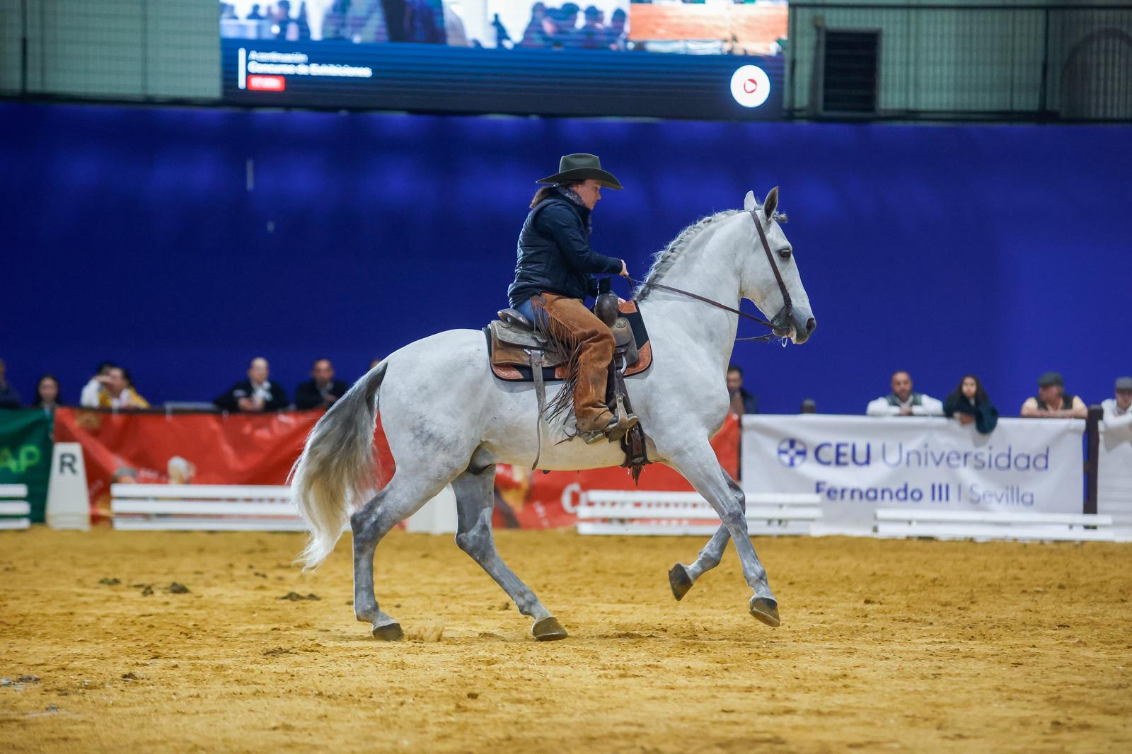 Penúltima jornada de Sicab en Sevilla: desde un campus de herraje hasta la visita de Juanma Moreno