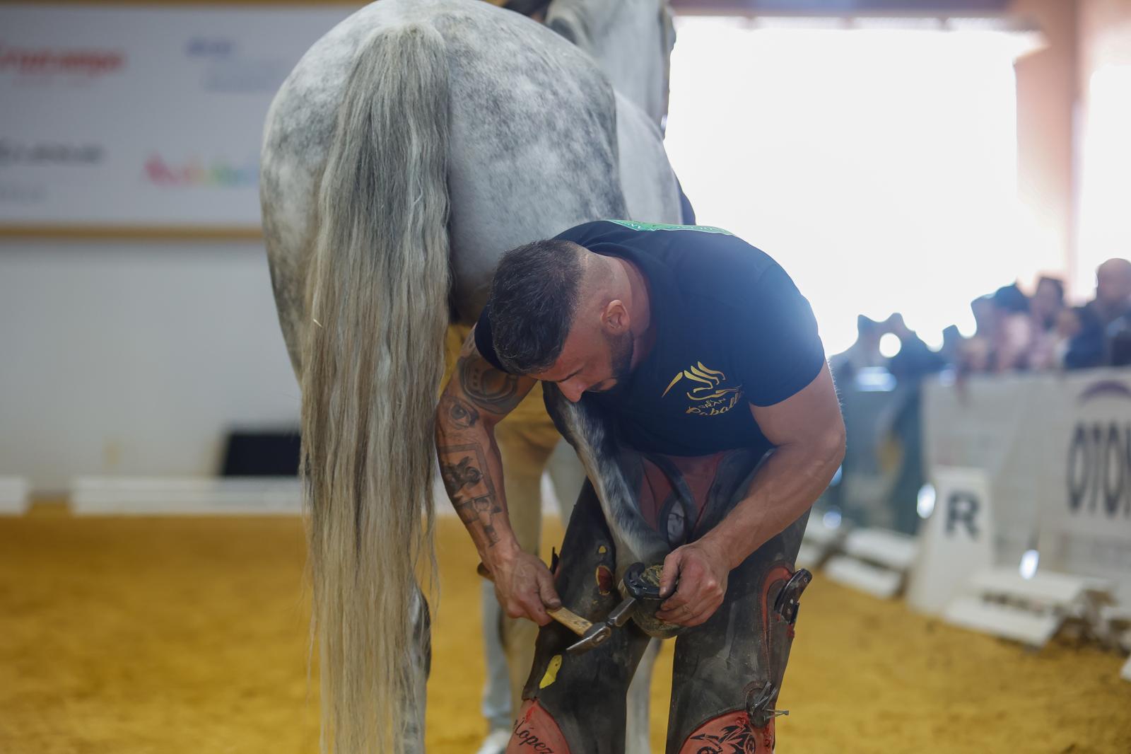 Penúltima jornada de Sicab en Sevilla: desde un campus de herraje hasta la visita de Juanma Moreno