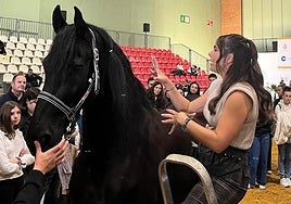 Míriam Luque, la influencer que trenza caballos y revoluciona Sicab