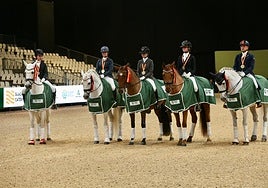 Sicab 2025 se despide con un aumento del 3% en el número de visitantes