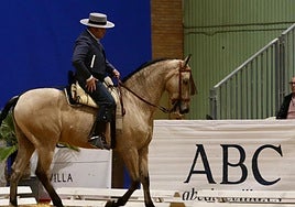 Sicab 2025 clausura su 35ºedición con la entrega de premios y una exhibición de la Policía Nacional