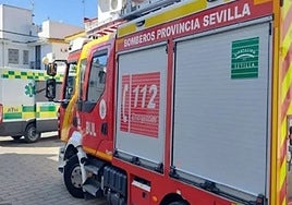 Muere una mujer de 39 años en el incendio de un campo en Lora del Río