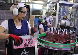 La propietaria de Puerto de Indias renegocia una deuda de 30 millones para salvar su ginebra rosa